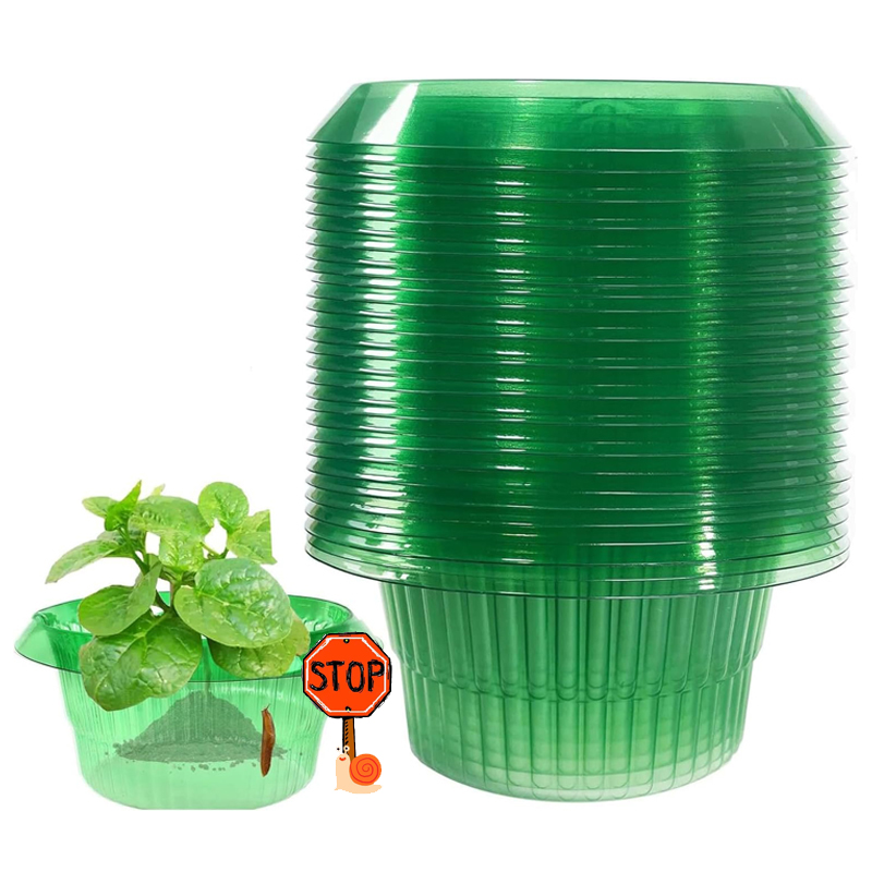 Plant Parents - 5-25 sztuk rośliny pierścienie zabezpieczające przed