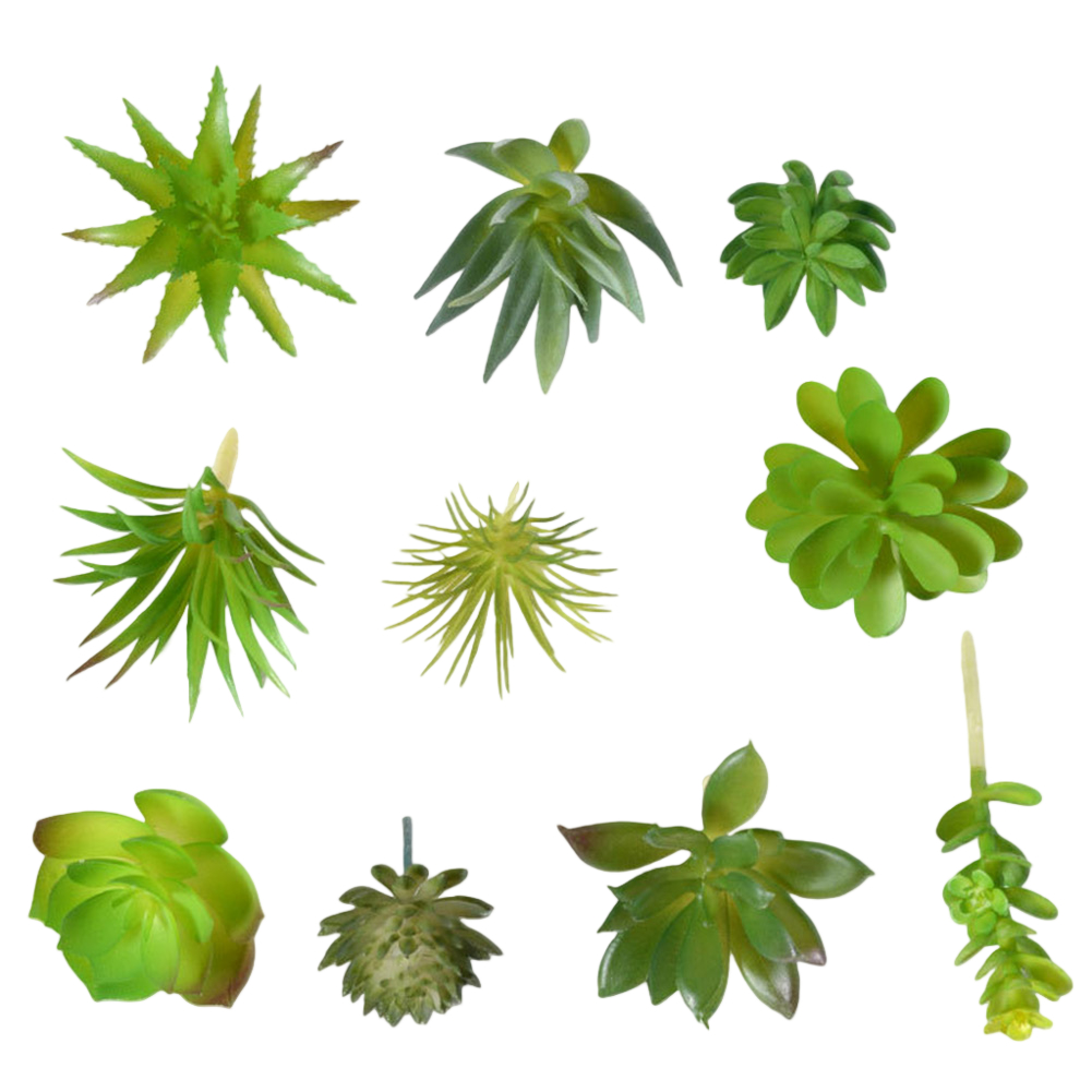 Succulent Arrangement Mini - Rekwizyt fotograficzny do aranżacji sztucznych sukulentów