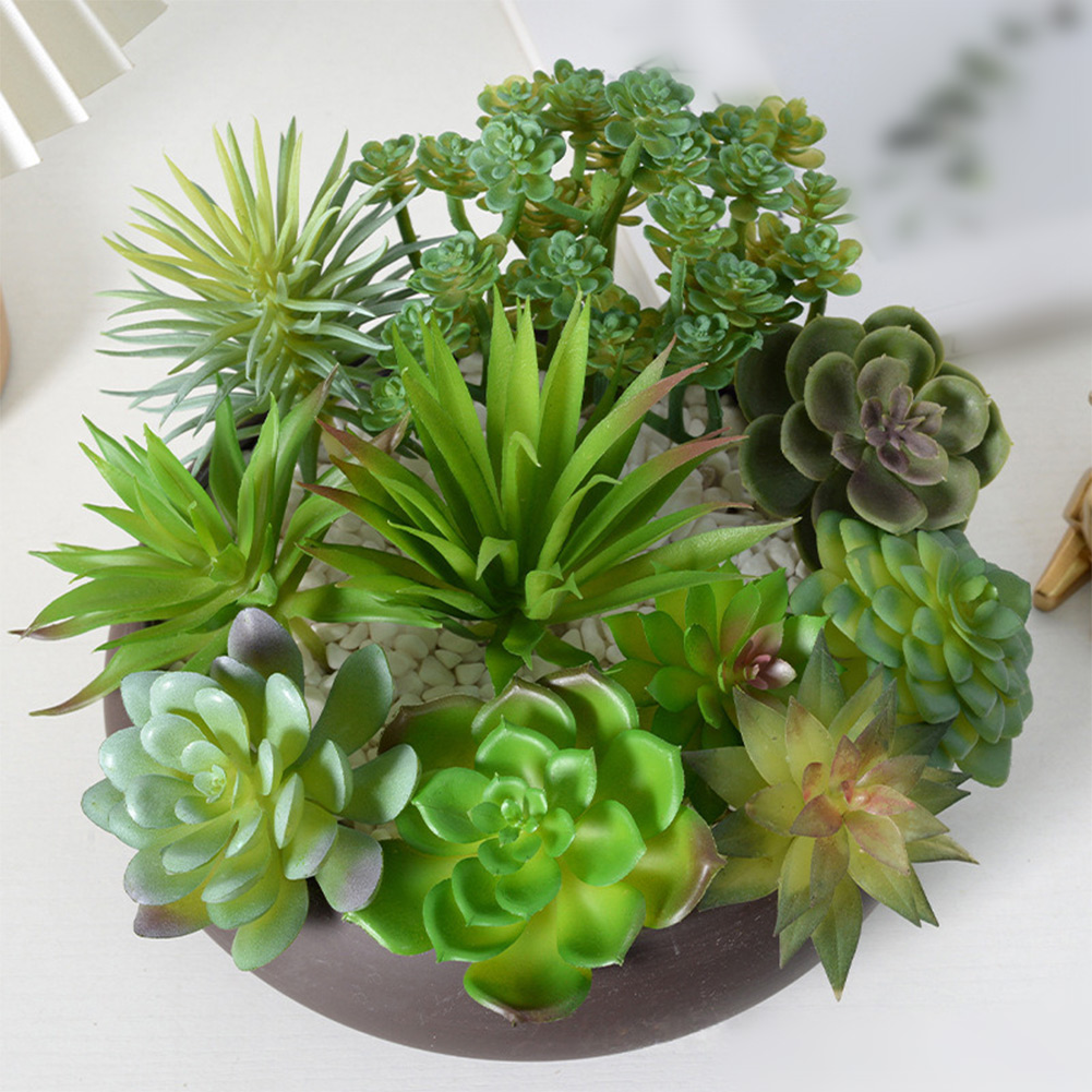 Sztuczne rośliny do mini bonsa – Succulent Arrangement Mini recenzja i cena
