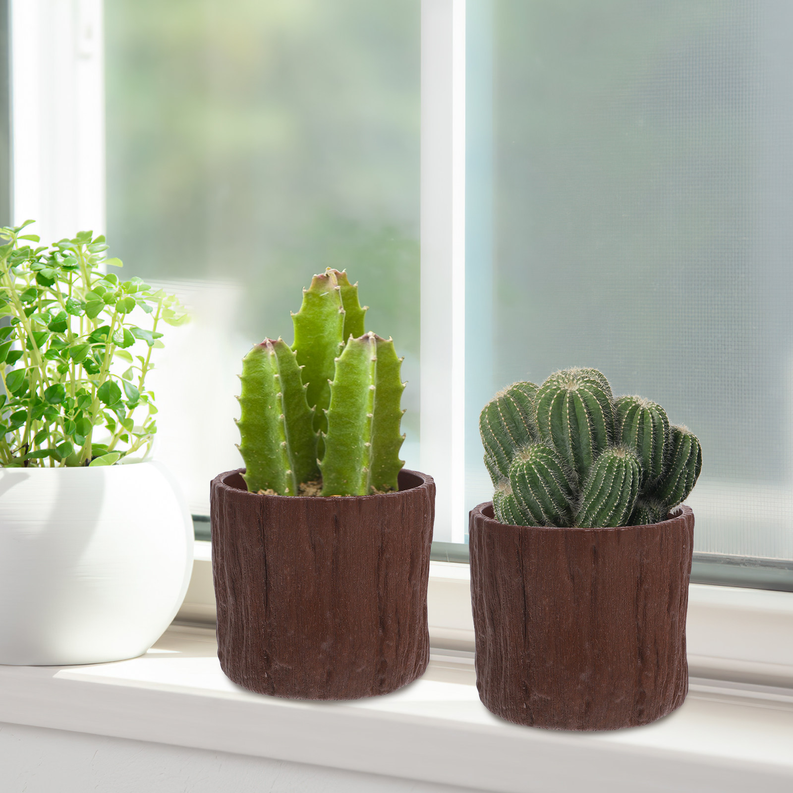 4 sztuki doniczek z imitacją d – Succulent Arrangement Mini recenzja i cena