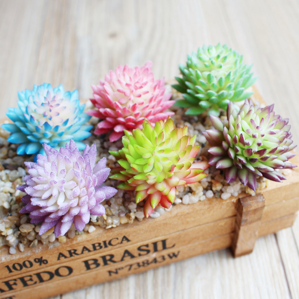 Sztuczne sukulenty uciekające  – Succulent Arrangement Mini recenzja i cena