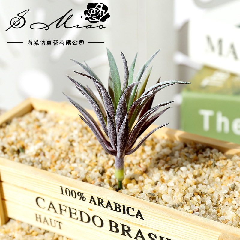 7.5x10cm Mini Ling Jiao Cao Sz – Succulent Arrangement Mini recenzja i cena
