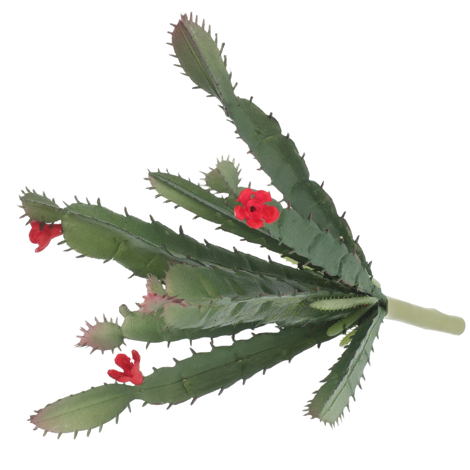 Miniaturowa sztuczna kompozycj – Succulent Arrangement Mini recenzja i cena