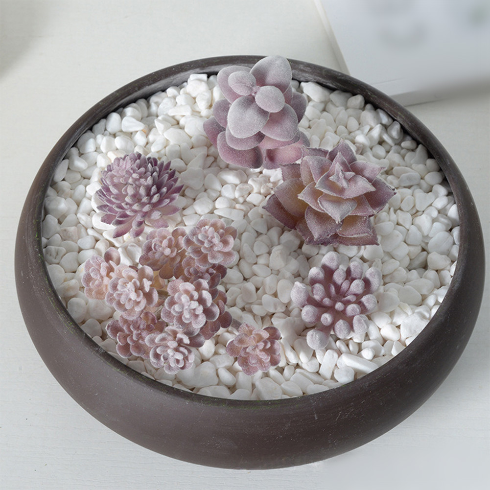 Rekwizyt fotograficzny do aran – Succulent Arrangement Mini recenzja i cena