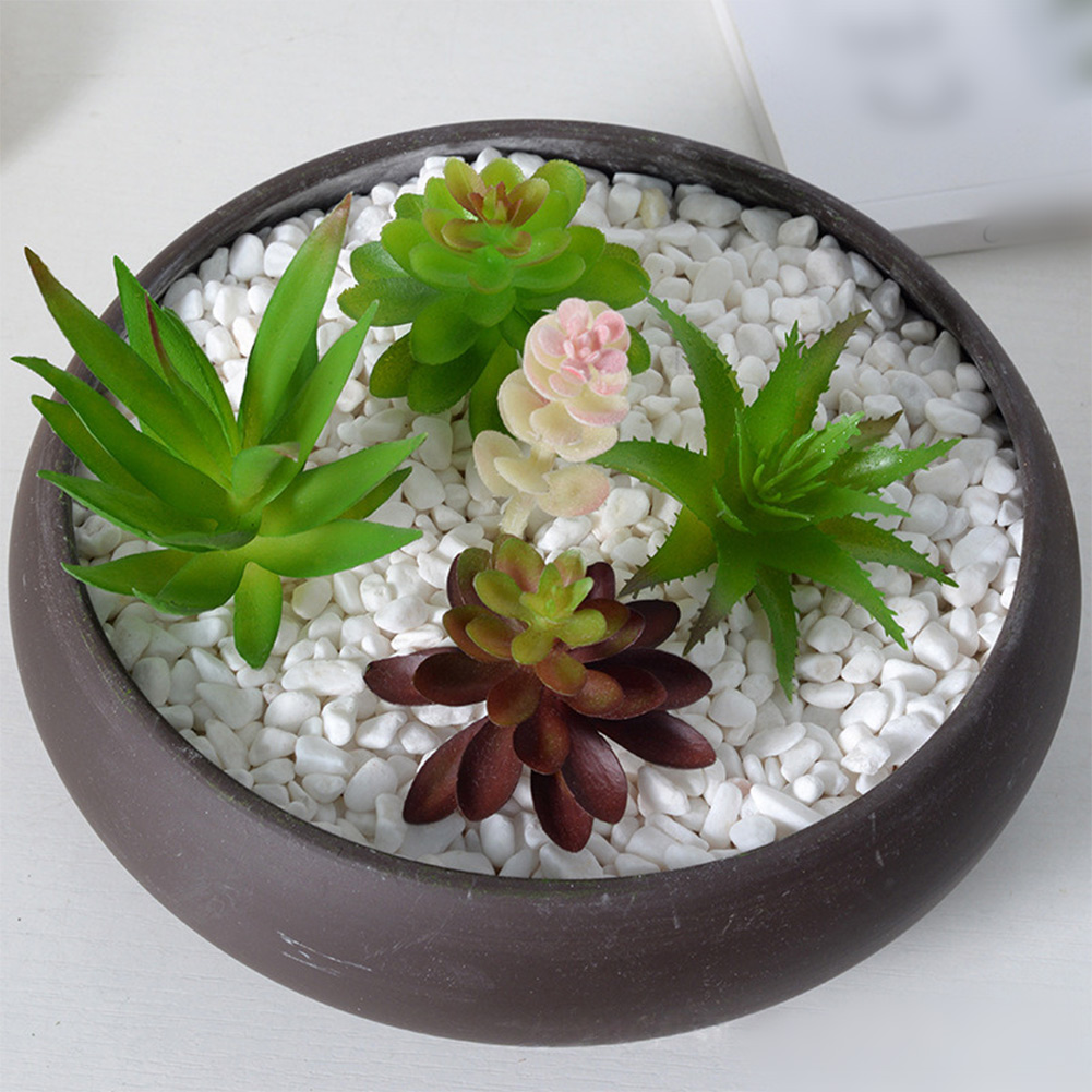 Rekwizyt fotograficzny do aran – Succulent Arrangement Mini recenzja i cena
