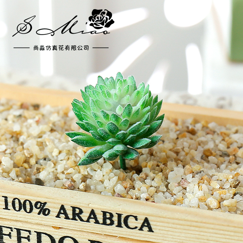 Sztuczne sukulenty Wusmart Ji  – Succulent Arrangement Mini recenzja i cena