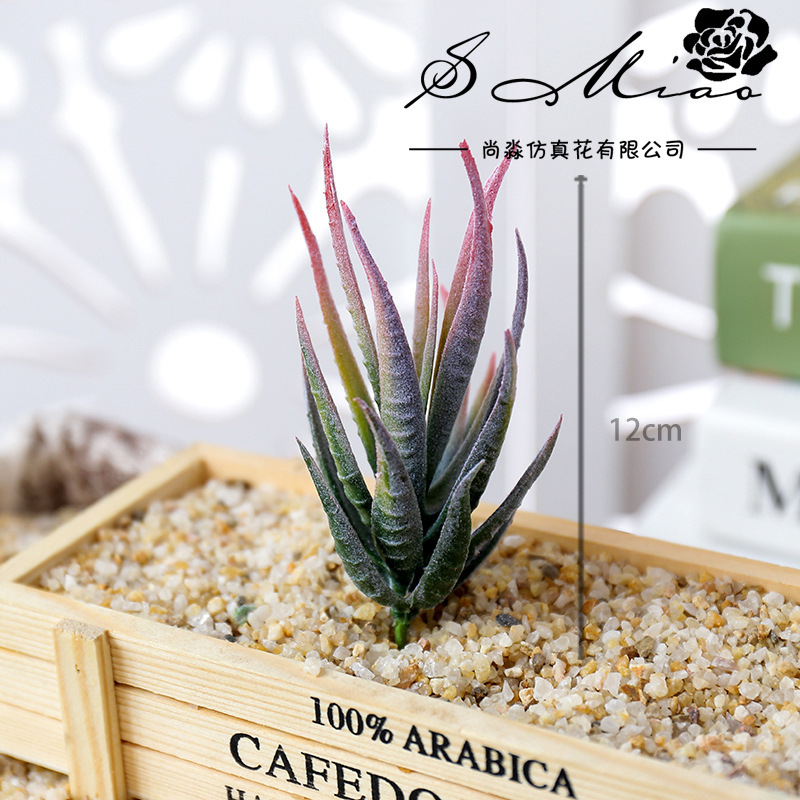 Wusmart Ban Ma Lu Hui Sztuczne – Succulent Arrangement Mini recenzja i cena